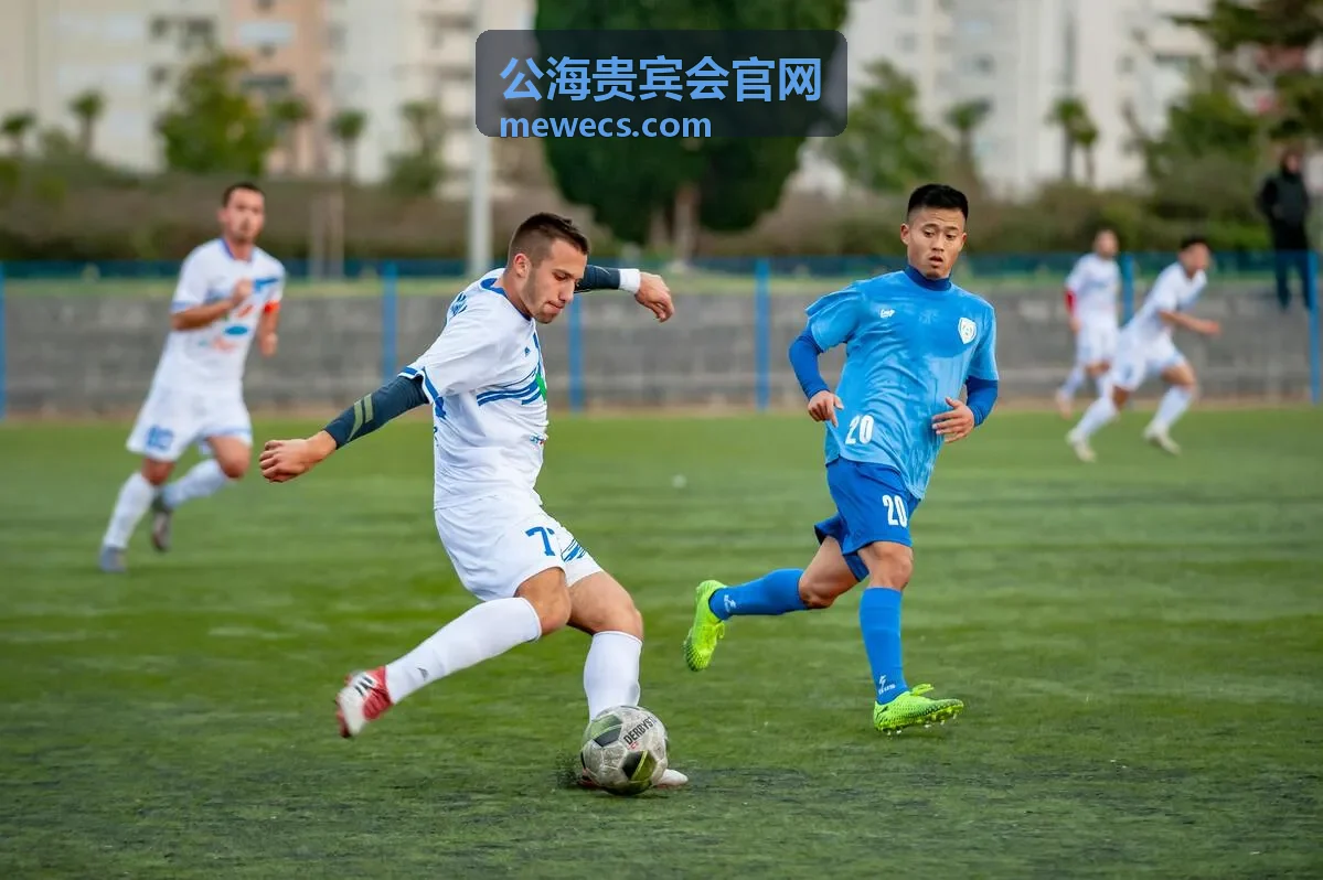 公海贵宾会艺术鉴赏场景